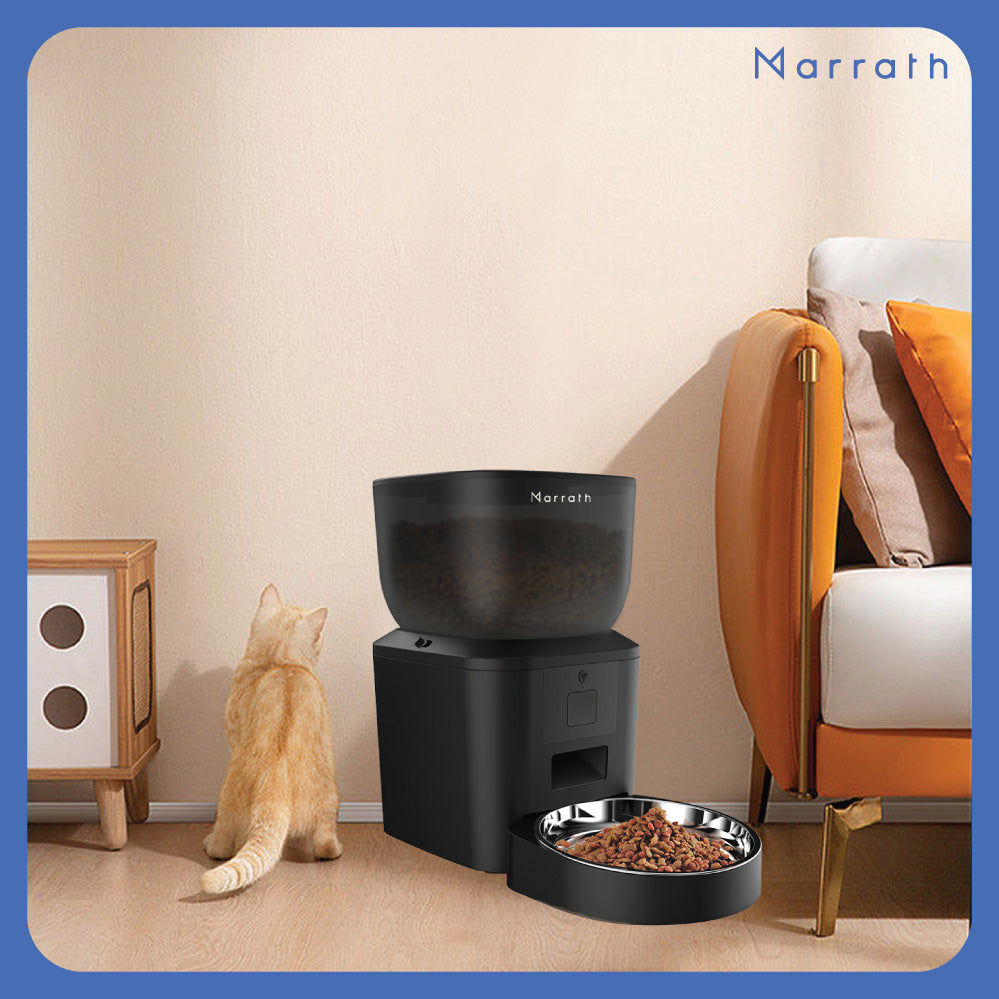 Intelligent automatic pet top feeder