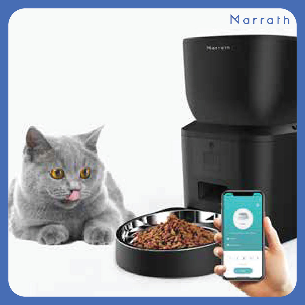 Best automatic pet feeder with clearance camera