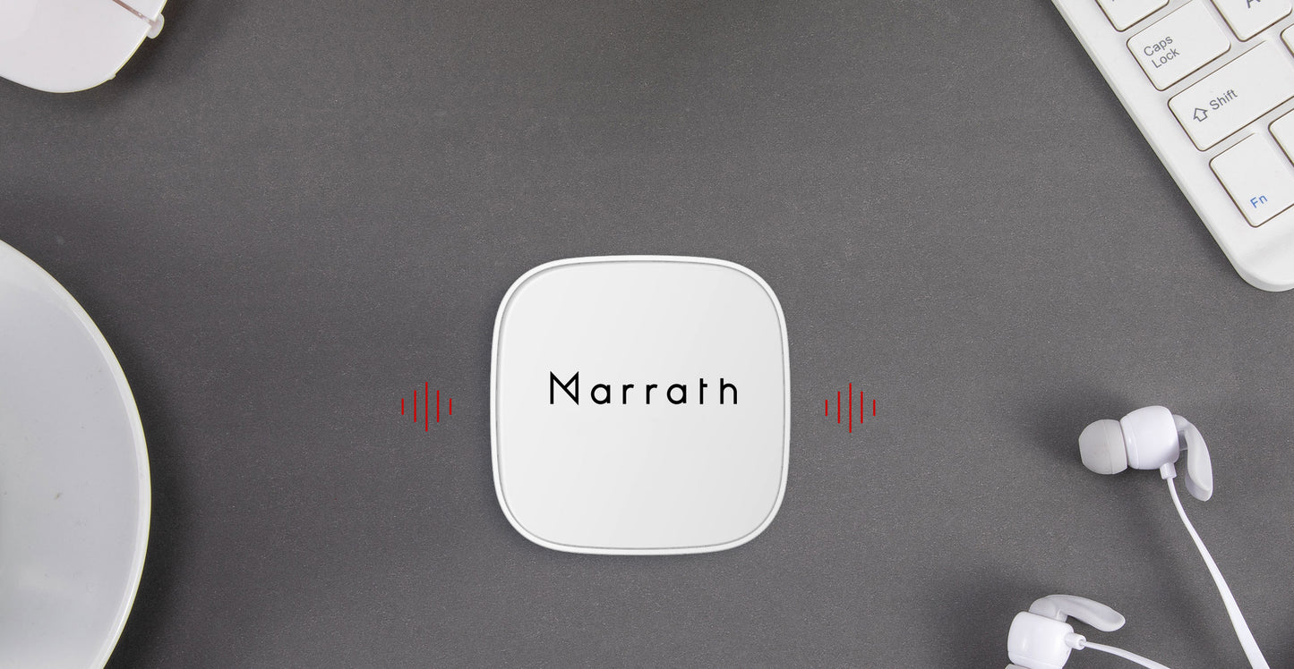 Marrath Smart Gas Leak Detector.